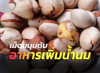 เม็ดขนุนต้ม อาหารเพิ่มน้ำนม